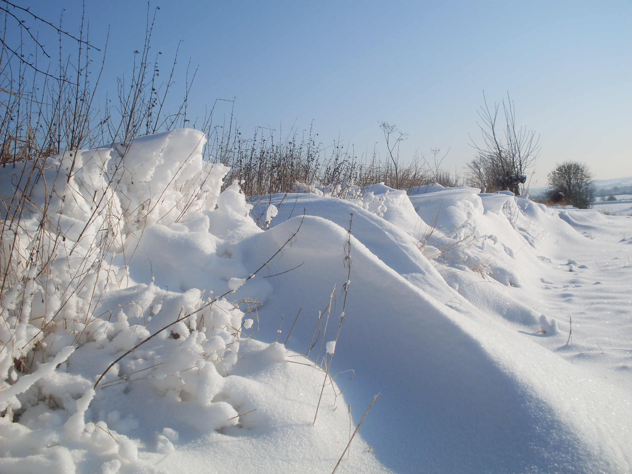 Rappel de la chasse par temps de neige - FEDERATION DEPARTEMENTALE DES  CHASSEURS DU NORD (59)