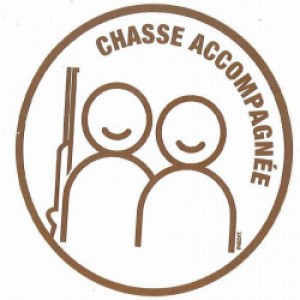 chasse accompagnée