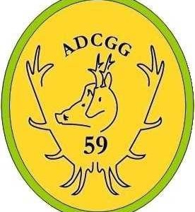 adcgg59