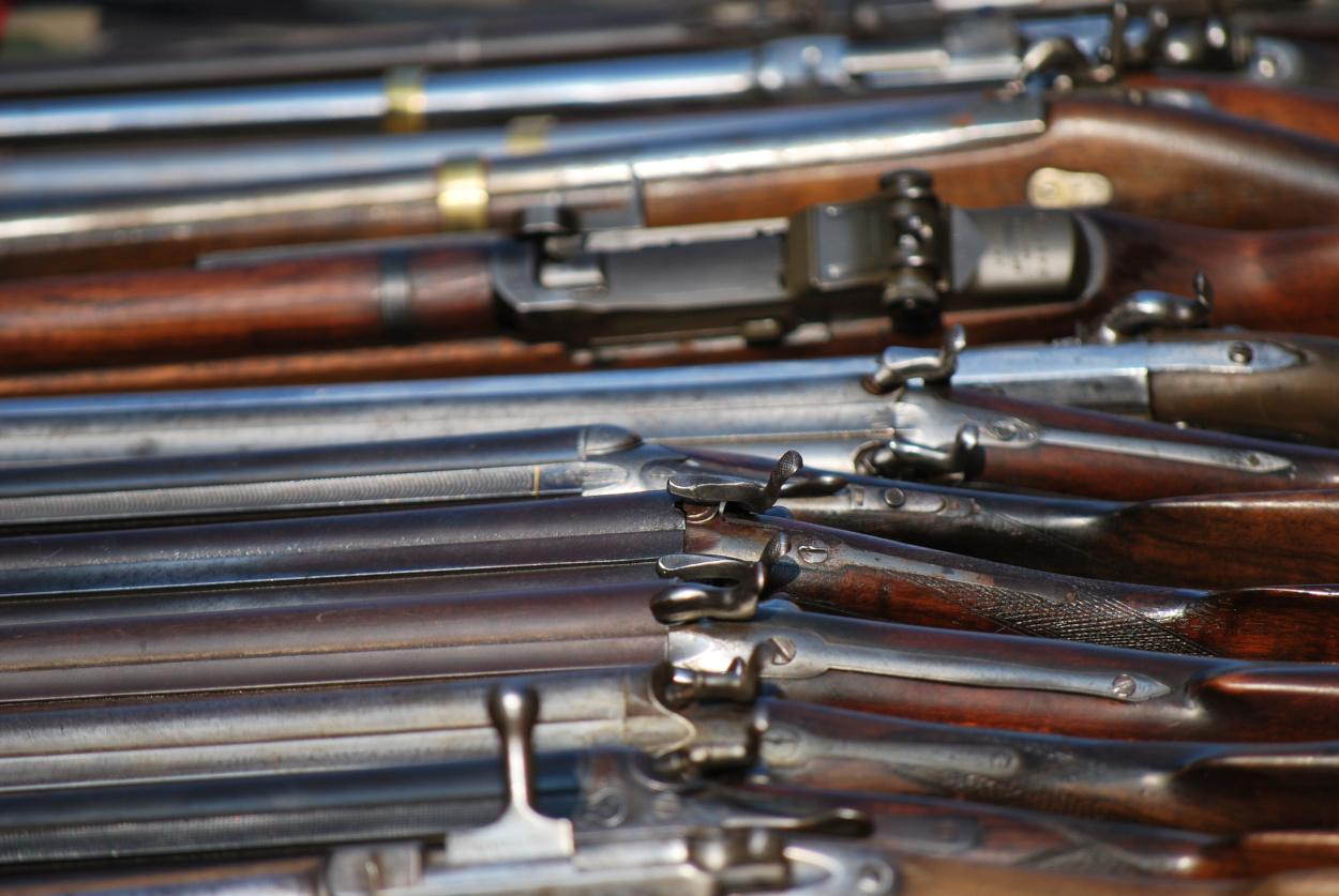 armesdepaulesfusils_sia FEDERATION DEPARTEMENTALE DES CHASSEURS DU
