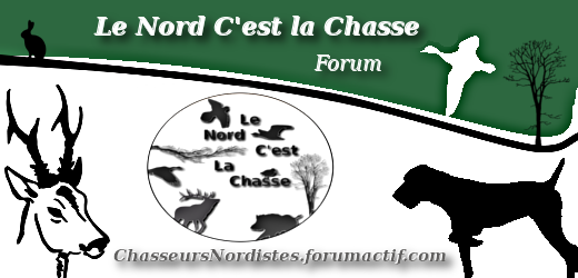 banniere_forum_chasseursNordistes