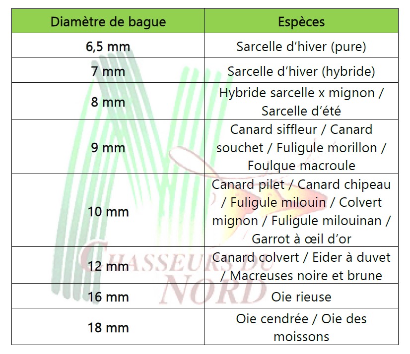 Bague diametre hotsell