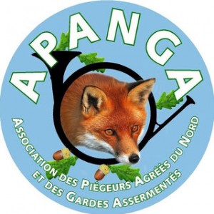 logo apanga