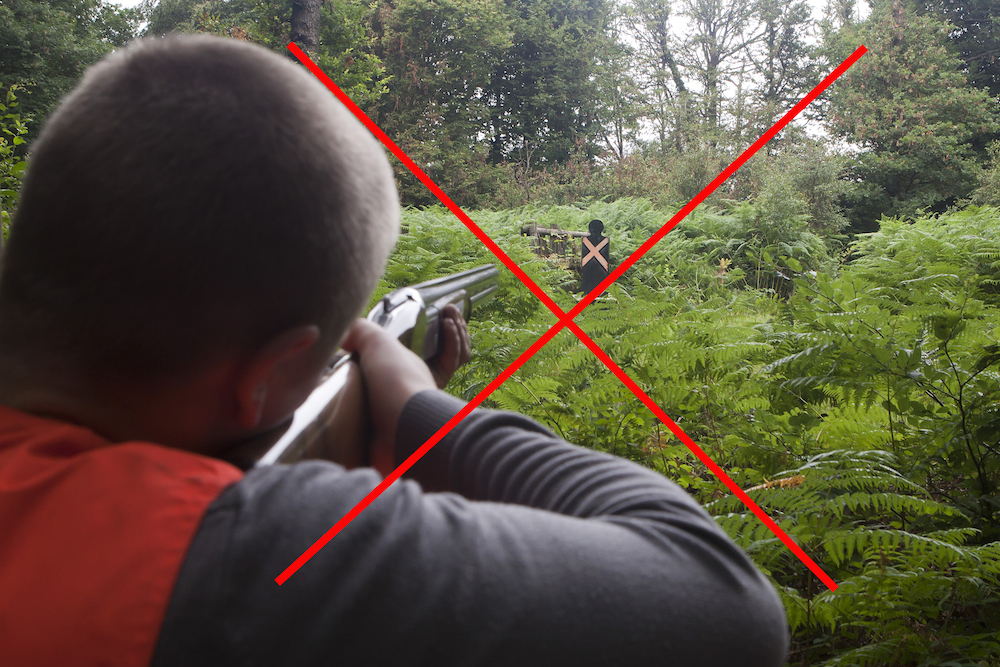 Chasse à l'arc - Fédération départementale des chasseurs de la Marne