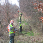Sécurité à la chasse en battue